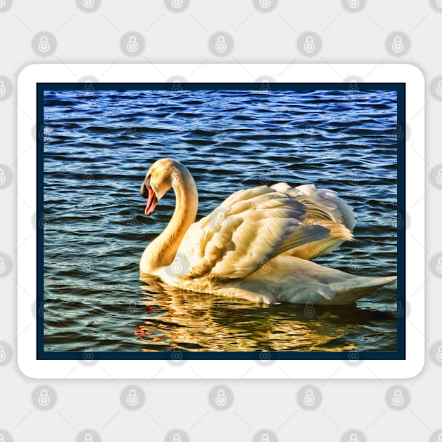 Swan wading on water in sunshine Sticker by Blue Butterfly Designs 